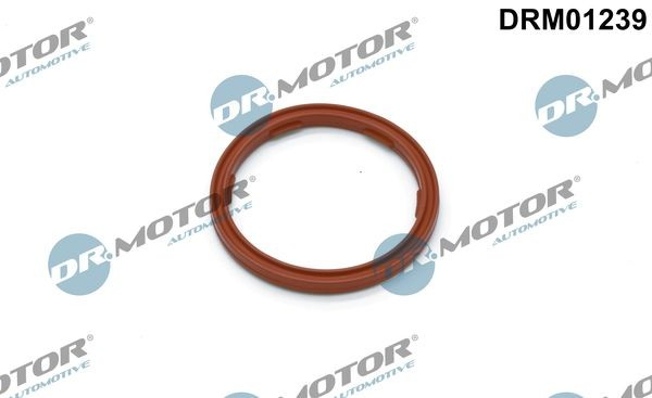 DRM01239 Dr.motor